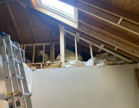 attic-transformation05